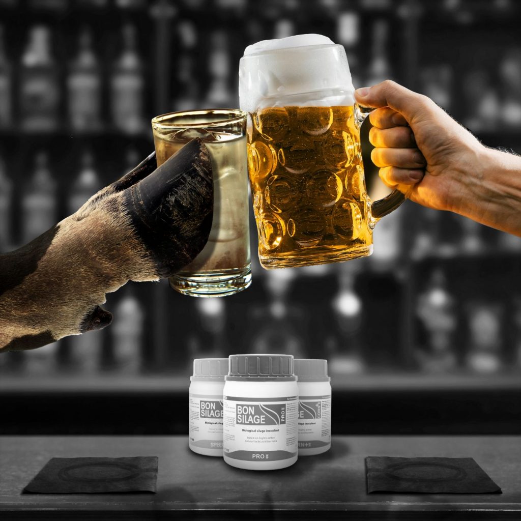 Cow and Person clinking drinking glasses together at a bar
